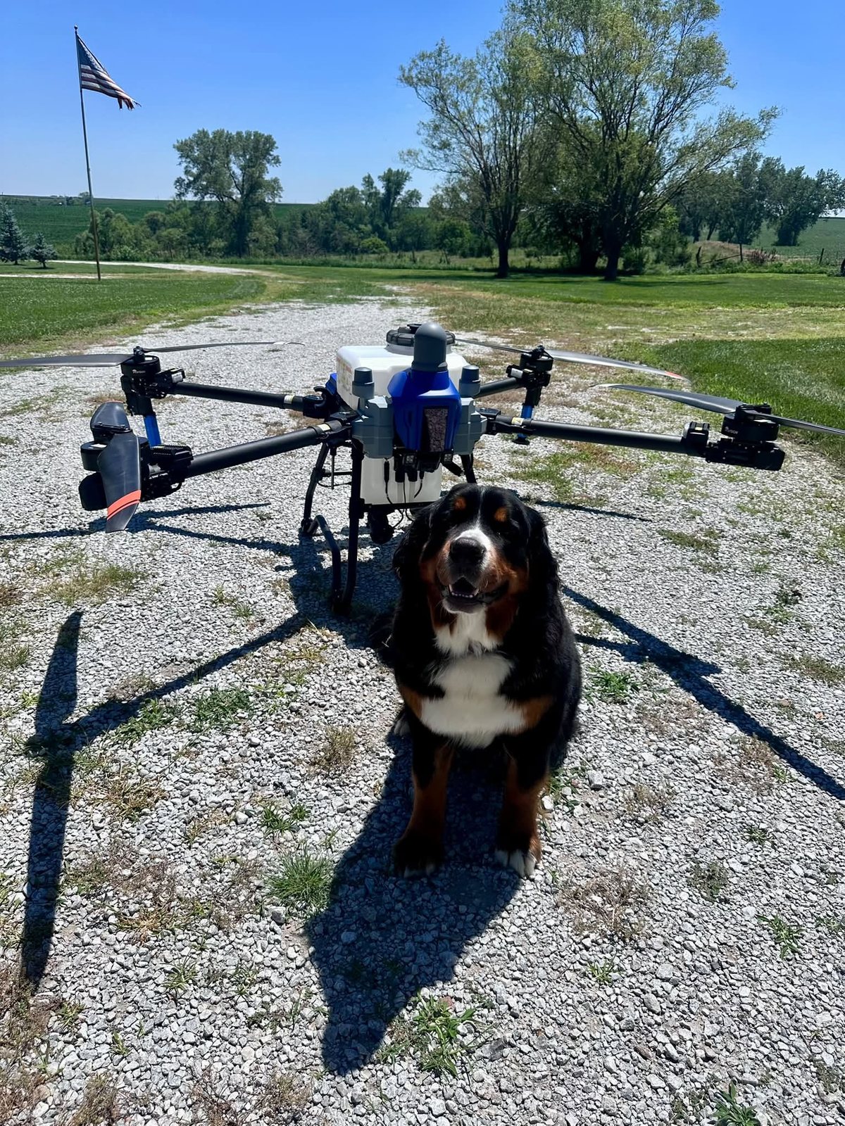 Frankie, Aerial Allies’ Bernese Mountain Dog, sitting in front of an EAVision J70 spray drone